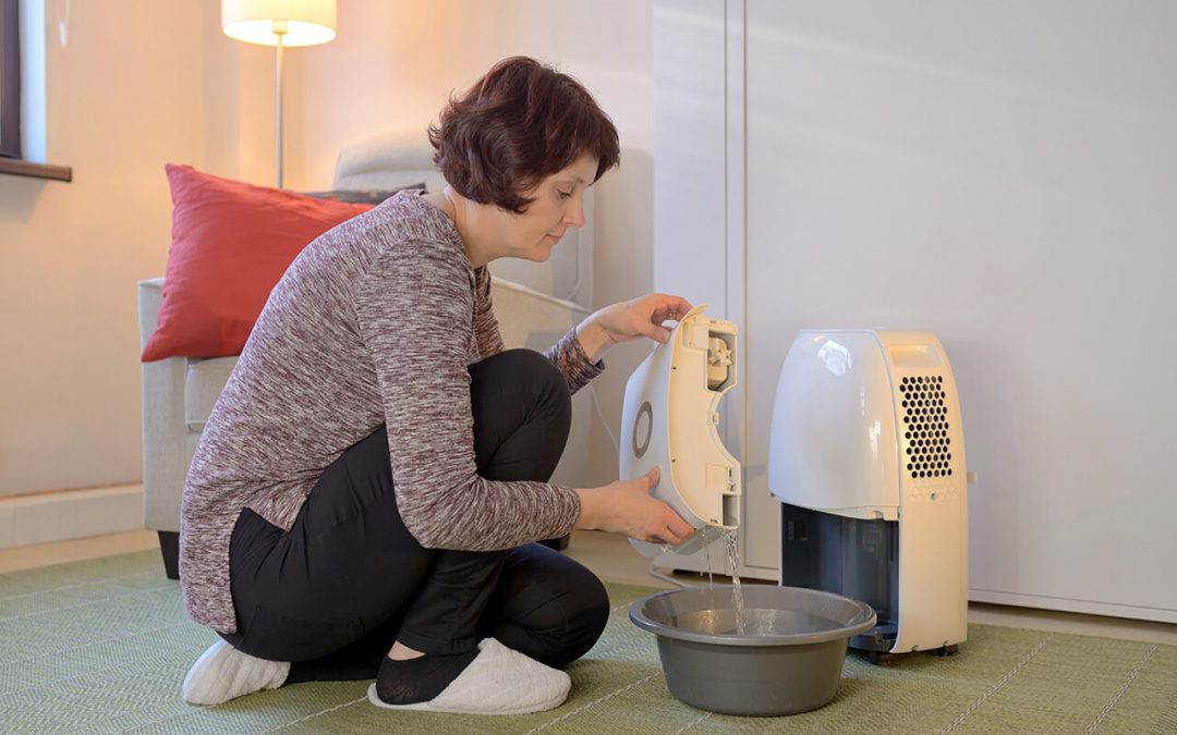 6 Methods for Improving Indoor Air Quality at Home