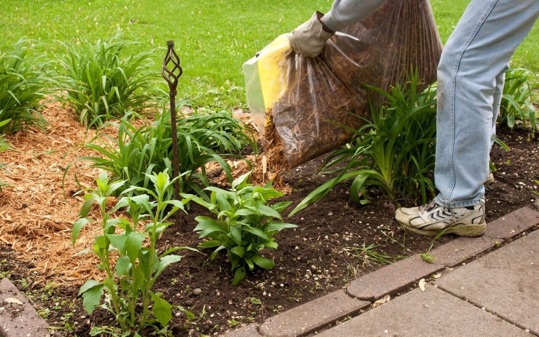 6 Ways to Prepare Your Garden for Spring