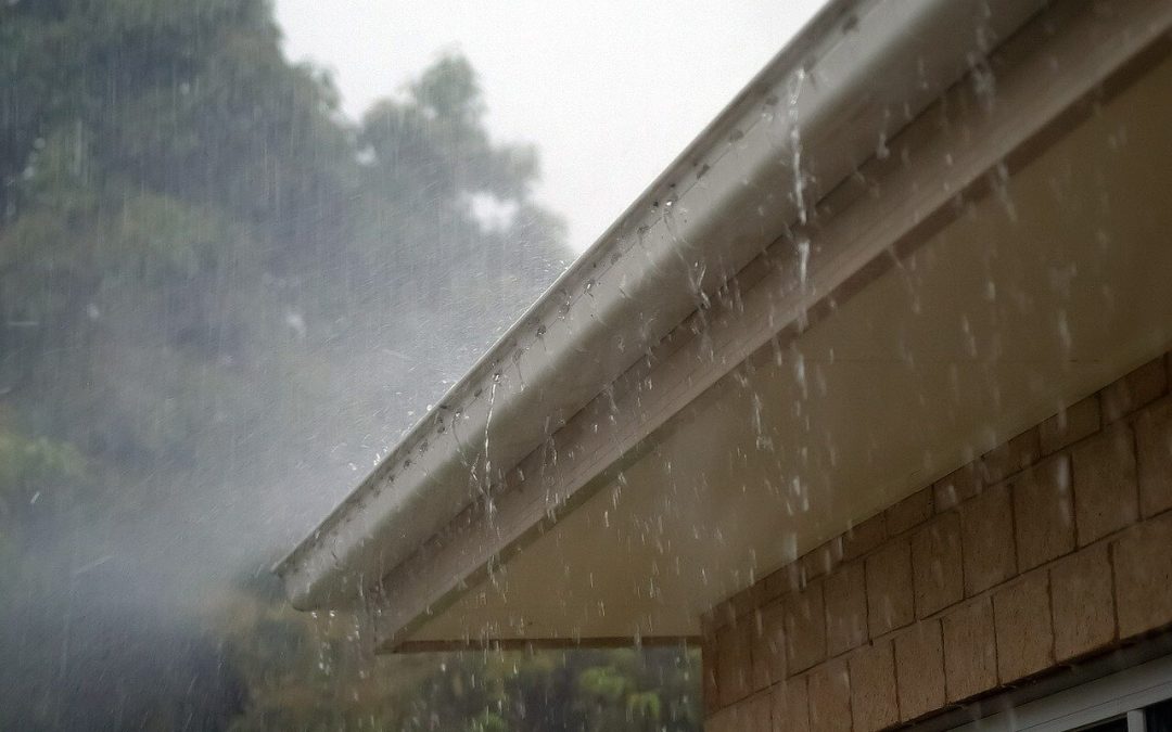 clean your home's gutters
